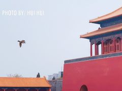 -故宫博物院(故宫)