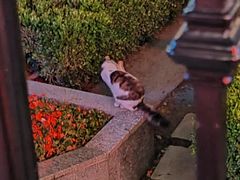 -Chili's Cafe&Bar奇利斯(滨江店)