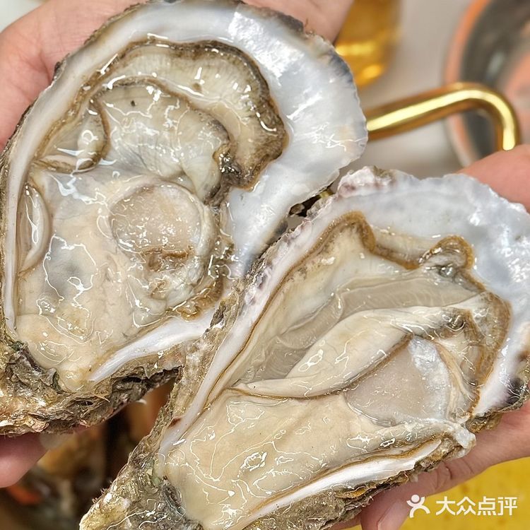 生蚝叠成山！这家火锅店是懂鲜味的！
