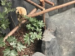 -武汉动物园