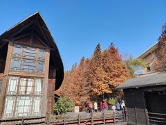 -溱湖国家湿地公园