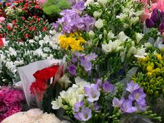 -双季花艺园艺市场(浦东店)