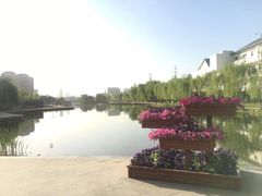 -雁滩公园