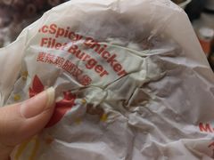 -麦当劳(欧亚大观商都店)