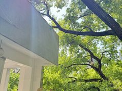 -湖北美术学院(昙华林校区)