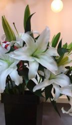 -FineYoga梵音瑜伽·普拉提