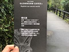 -怀托摩萤火虫洞