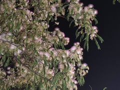 -独一道·邵伯龙虾土菜馆·烧烤(雨花西路店)