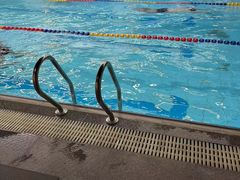 -小海豚国际游泳培训中心(浦东塘桥店)