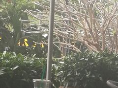 -星巴克臻选(深圳龙华红山天虹店)