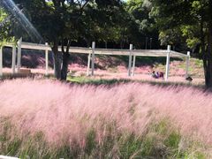 -牛岗山公园