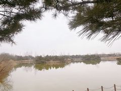 -日照海滨国家森林公园