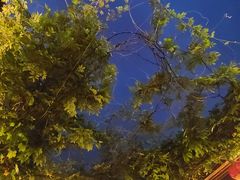 -清真天水老巷道餐厅