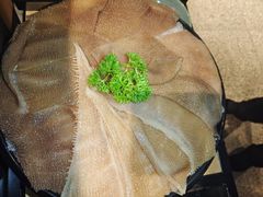 -老墙根涮肉·铜锅·烧烤(欢乐谷·王四营店)