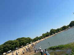 -上海月湖雕塑公园