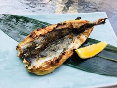 -桂马·日本料理·海胆·海鲜饭·酒场(民主广场店)