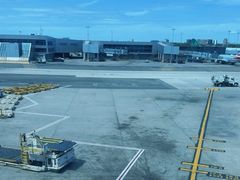 -约翰·菲茨杰拉德·肯尼迪国际机场