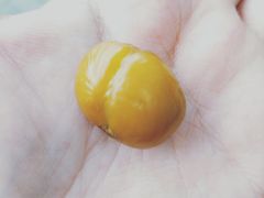 -秋栗香(地安门店)