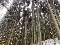 -山王坪喀斯特国家生态公园