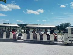 -巴黎迪士尼乐园