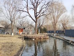 -春风习习
