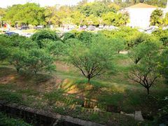 -南国桃园旅游度假区