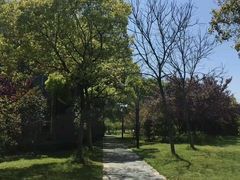 -上海中医药大学-食堂