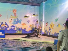 -太平洋海底世界