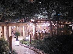 -Tangled Tree Tavern 老藤树食栈