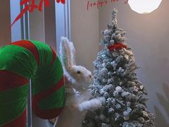 -Supine Bistro溯泮餐厅