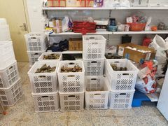 零售区-璐坊粽王(复兴中路店)