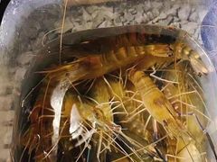 -DGE季风钓虾营地·团建·聚会