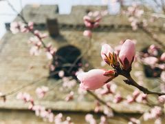 -八达岭长城