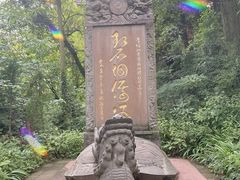 -青城山