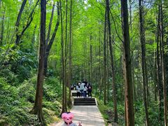 -凤栖山