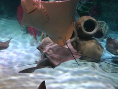 -沈阳海洋探索中心