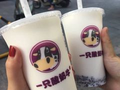 -一只酸奶牛(海南友谊阳光城店)