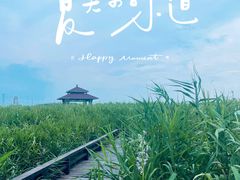 -宁波杭州湾国家湿地公园