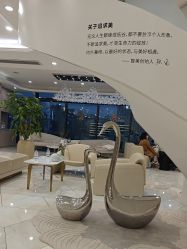 -智美品质医美