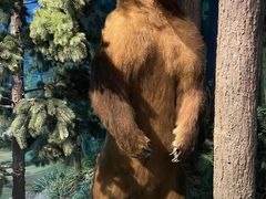 -陕西自然博物馆