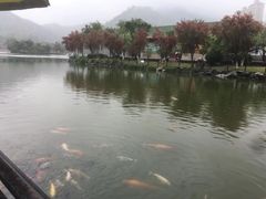 -珠海圆明新园