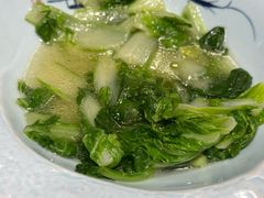 -阿巧茶庄