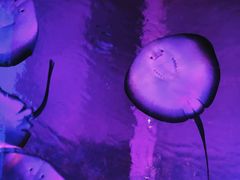 -波塞冬旅游度假区