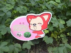 -西湖风景区-江洋畈生态公园