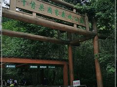 -牛背梁国家森林公园