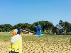 -广州市流溪河国家森林公园