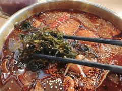 -芜湖白金汉爵大酒店
