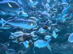 -海合安成都极地海洋公园