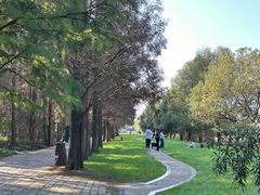 -同里国家湿地公园