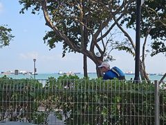 -东海岸人工湖美食村
